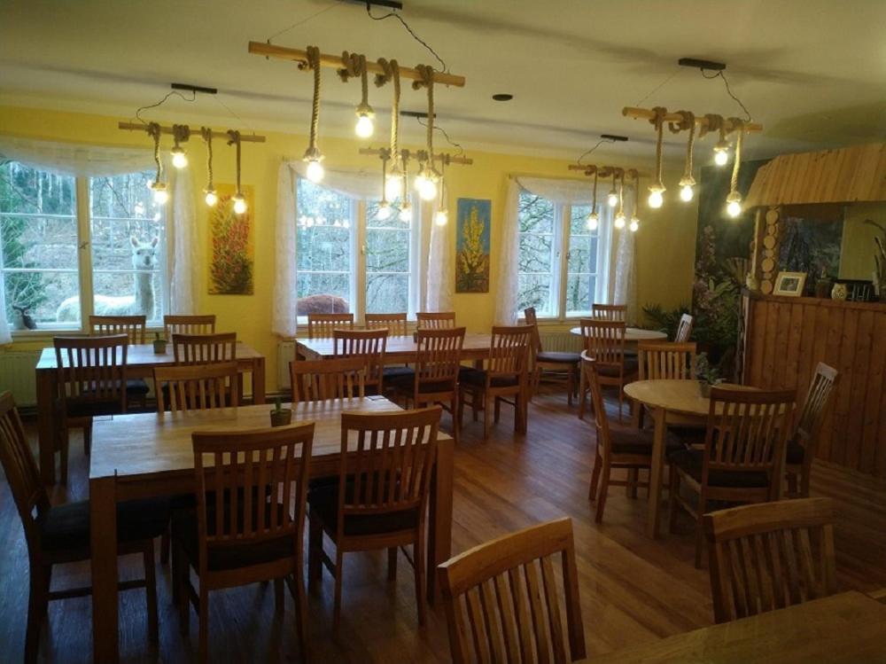 Saupsdorf Kraeuterbaude酒店 外观 照片